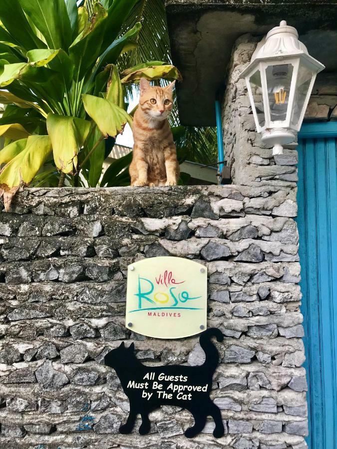 Villa Rosa Maldives Feridhoo Екстер'єр фото